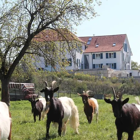 Apartamento Charmante Zollhaus-wohnung - 2 Bis 3 Gaeste Naehe Schweiz Klettgau
