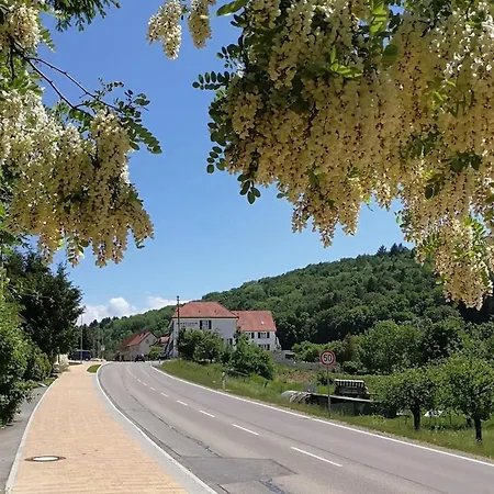 Charmante Zollhaus-wohnung - 2 Bis 3 Gaeste Naehe Schweiz Apartamento Klettgau