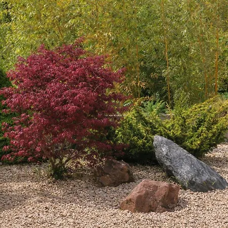 Charmante Zollhaus-wohnung - 2 Bis 3 Gaeste Naehe Schweiz Lägenhet Klettgau