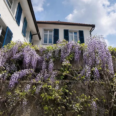 Lägenhet Charmante Zollhaus-wohnung - 2 Bis 3 Gaeste Naehe Schweiz Klettgau