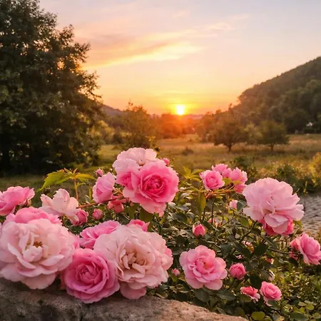 Charmante Zollhaus-wohnung - 2 Bis 3 Gaeste Naehe Schweiz Lägenhet *