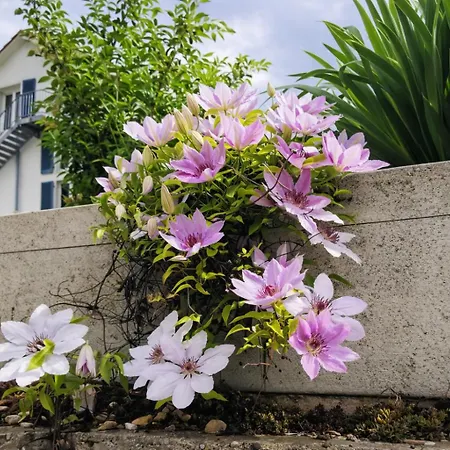 Lägenhet Charmante Zollhaus-wohnung - 2 Bis 3 Gaeste Naehe Schweiz